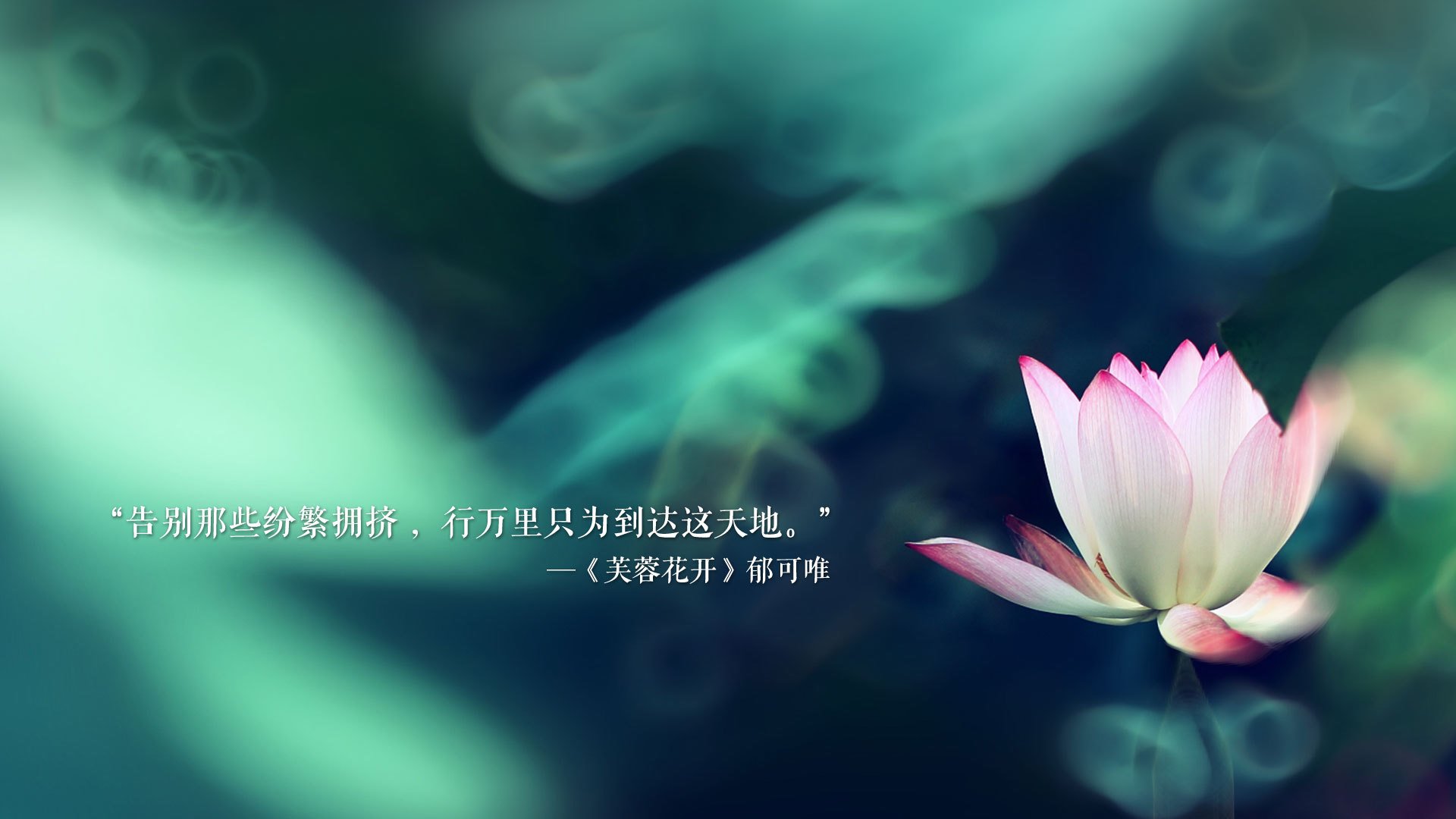 开云体育官方下载-_社交媒体助力运动员塑造公众形象_，社交媒体 社会运动