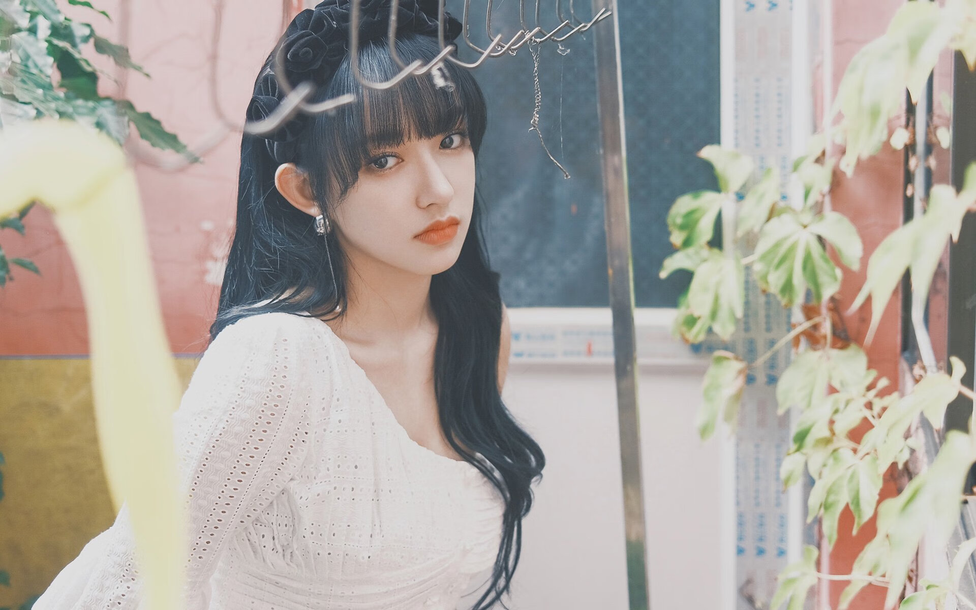 凯尔特人举办“传奇球衣背后的故事”讲座系列，nba凯尔特人传奇队员